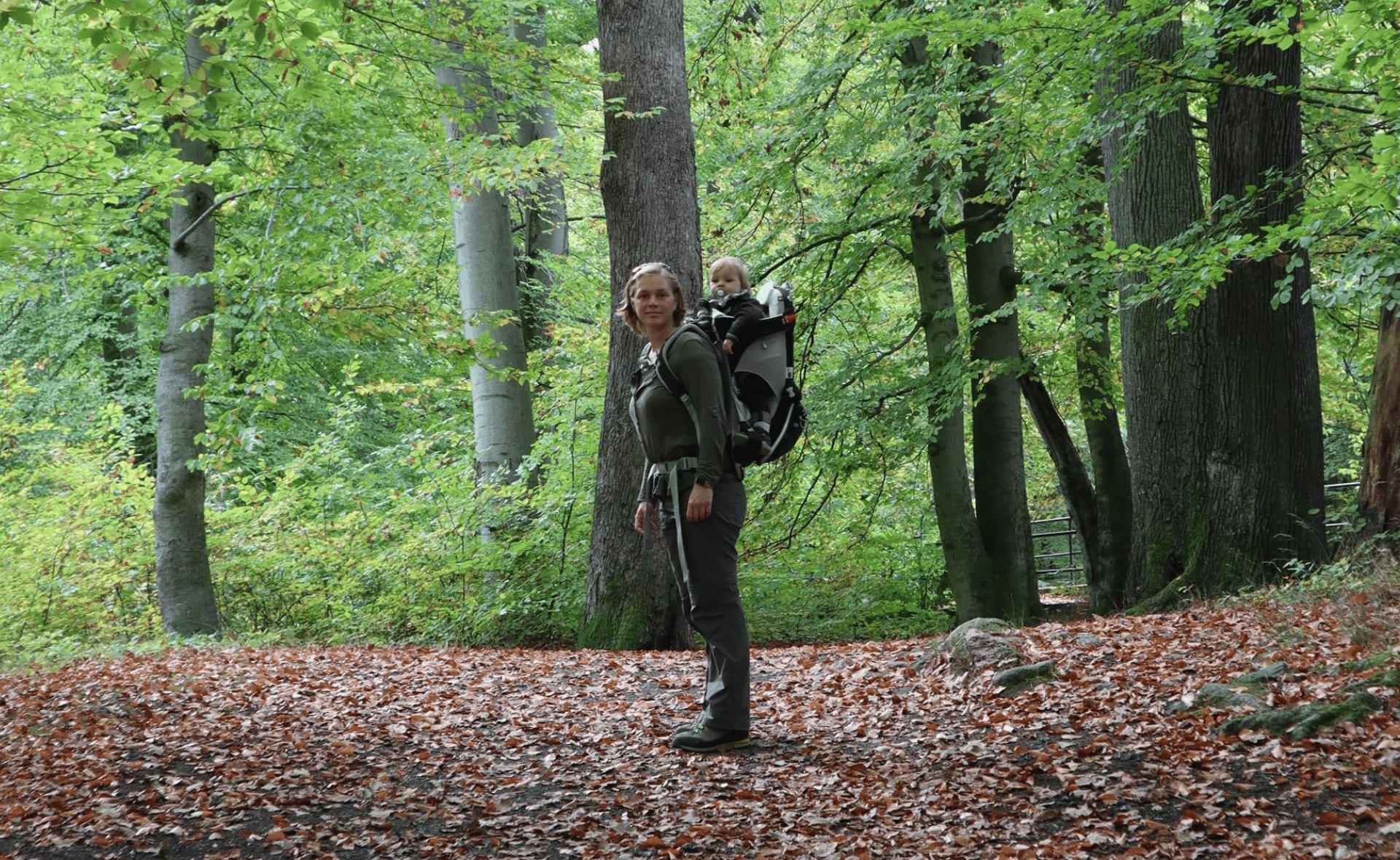 Dinah beim Training