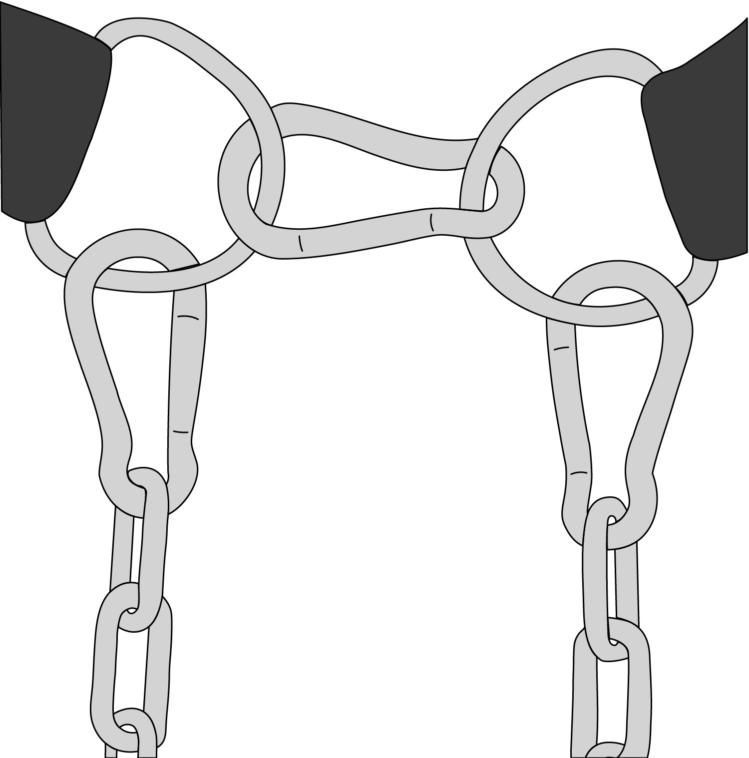 die ringe dip belt 3 carabiners