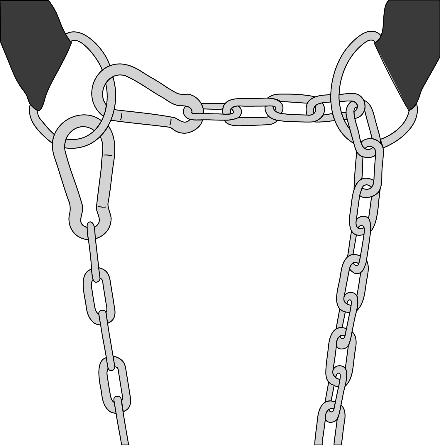 die ringe dip belt 2 karabiner.png