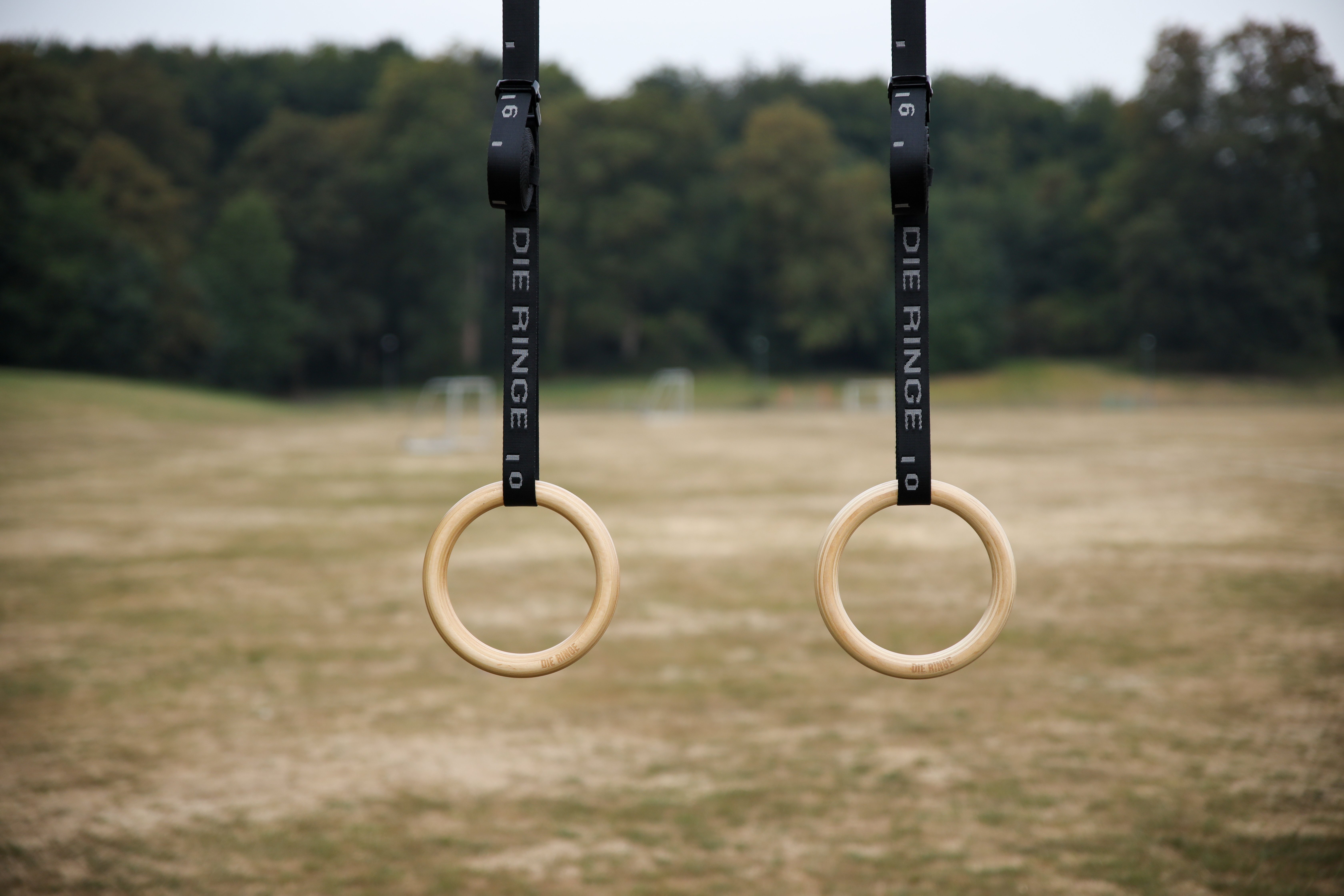 die ringe holz turnringe essential
