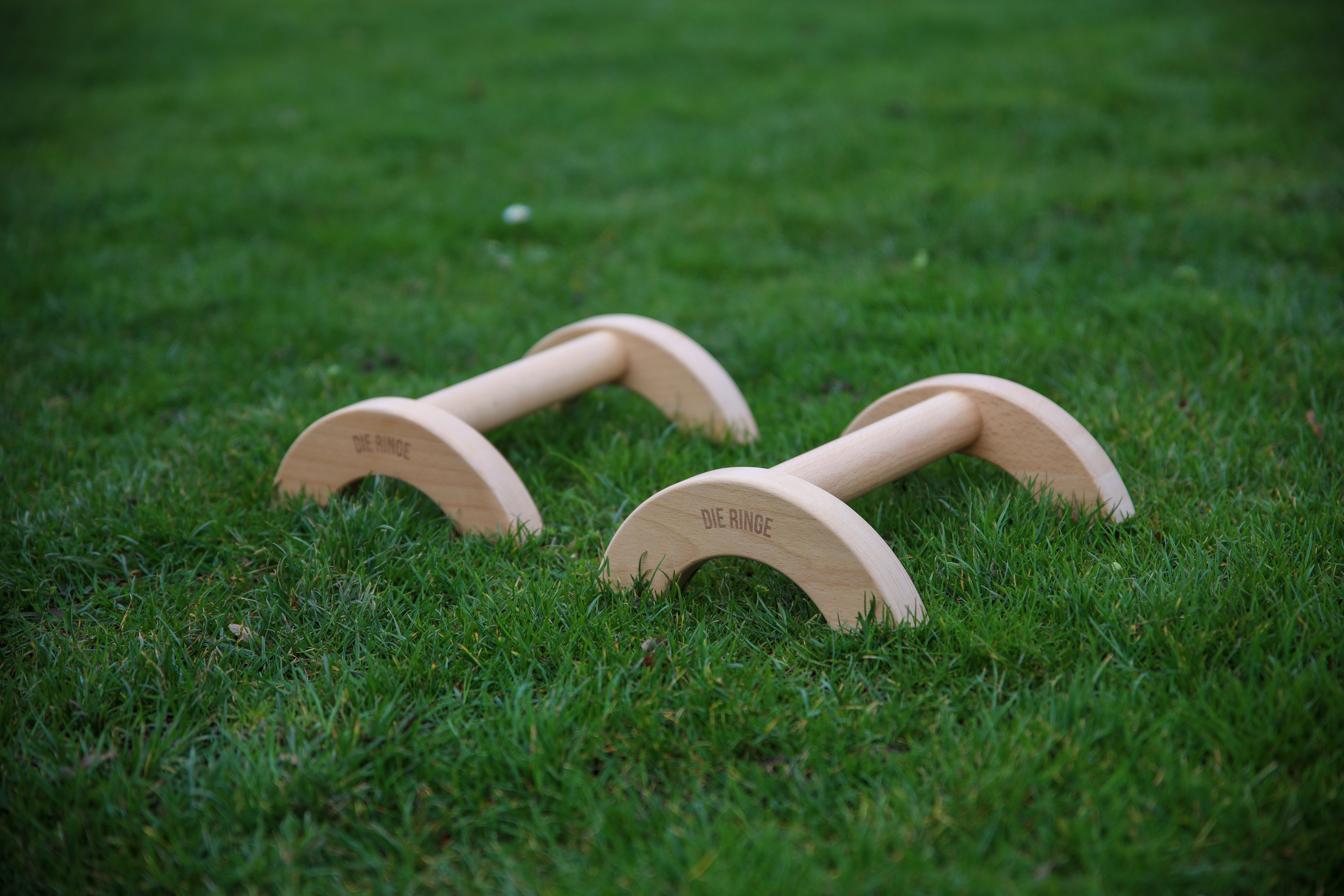 parallettes die ringe wiese.jpg