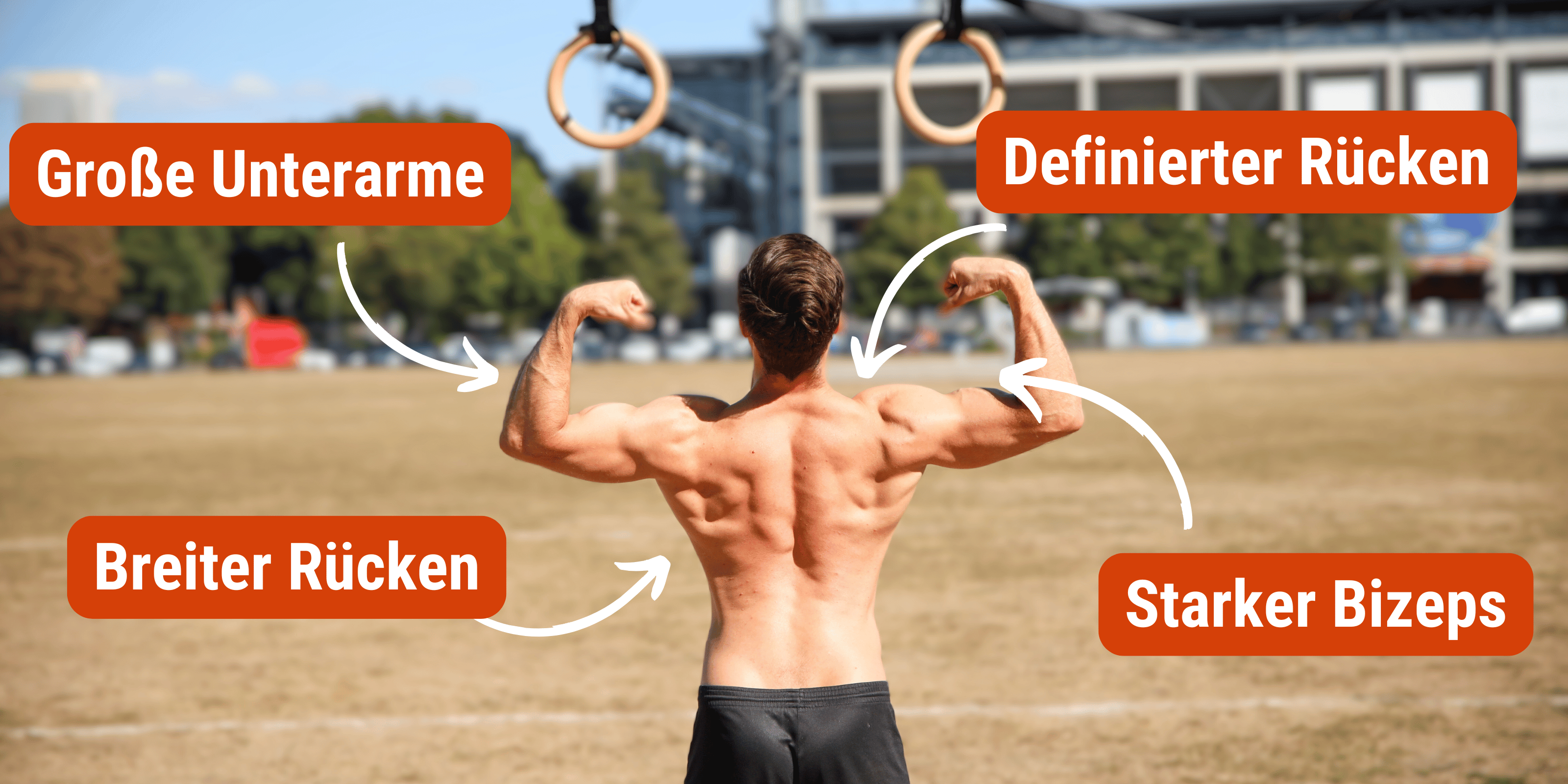 DIE RINGE Blog image