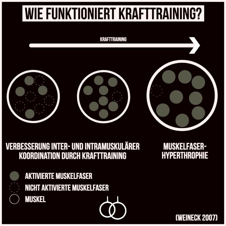 Wie-funktioniert-Krafttraining_-768x768.jpg